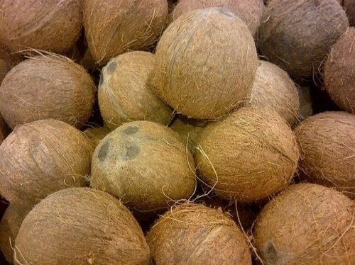 Pack Of 50 Kilogram Round Shape Good Quality Brown Fresh Solid Medium Full Husked Coconut