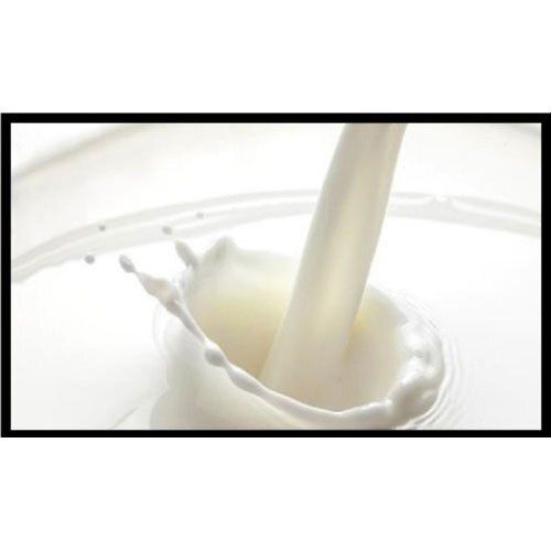 Pure And Healthy Rich In Vitamin White 10% Fat Cow Milk 