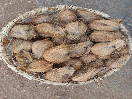 Round Shape 500 Gram Weight Good Quality And Fresh Solid Full Husked Brown Coconut