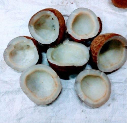 सफेद और भूरा 500 ग्राम वजन अच्छी गुणवत्ता वाला भूरा ताजा ठोस मध्यम सल्फर मुक्त भूसी वाला नारियल