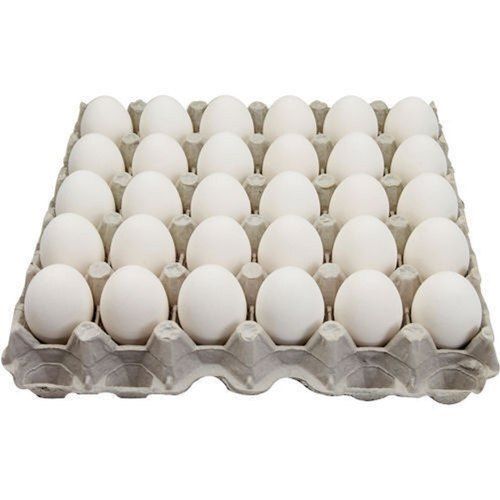 White Farm Broiler Eggs For Restaurant