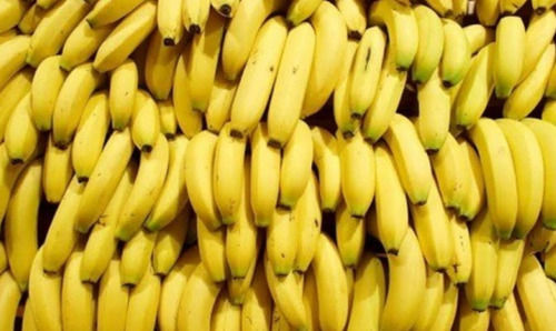 1 Dozen Fresh Curved Shape Sweet In Taste Open Air Cultivated Yellow Banana  Size: 7 Inch