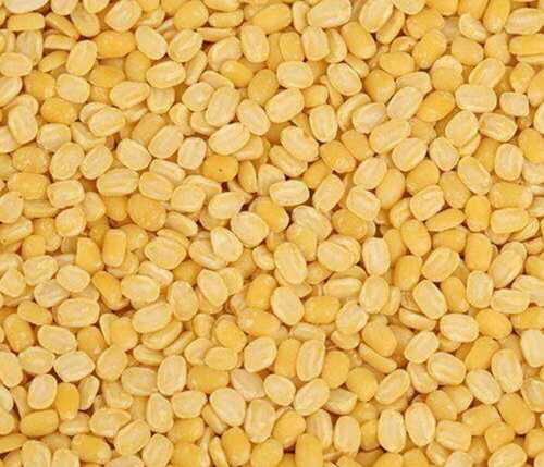 Hygienically Prepared No Added Preservatives Yellow Dhuli Moong Dal
