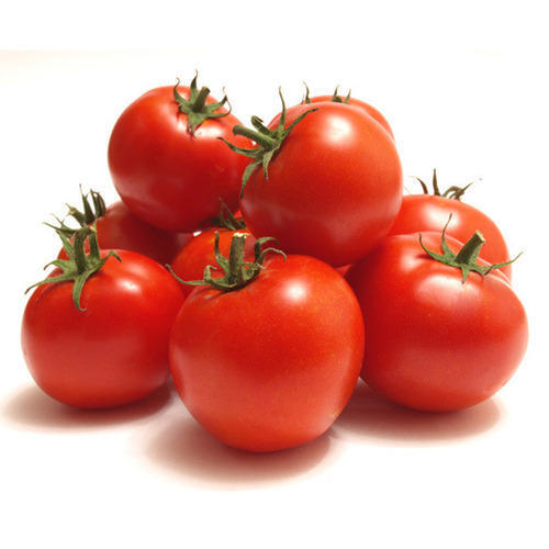 Natural And Healthy Rich Source Of Vitamins Fully Nutrients Red Color Fresh Tomato