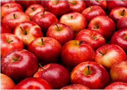 1 Kg Red Fresh Round Shape Open Air Cultivated Sweet In Taste Kashmiri Apples