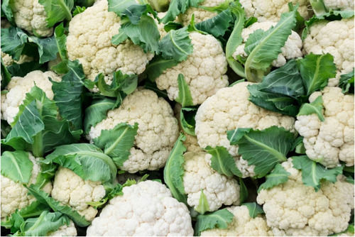 1 Kg Fresh Natural Shape White Open Air Cultivated Cauliflower  Moisture (%): 10-12%