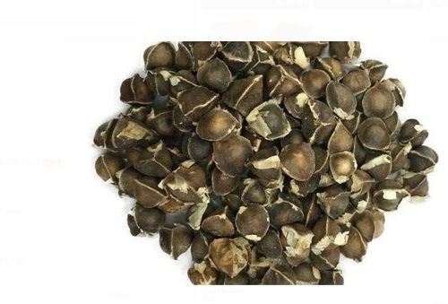 Pure And Natural Common Cultivation Brown And Black Wingless Moringa Seeds 