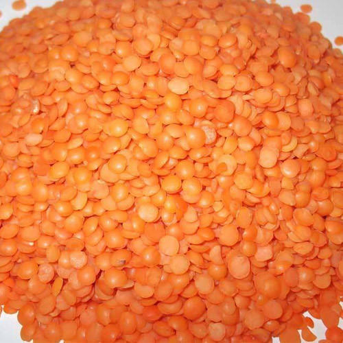 High In Protein Accept Carbohydrate Rich 100% Pure Healthy Natural Indian Origin Aromatic Organic Masoor Dal - Whole, Orange, 100% Purity, 2 Months Shelf Life | Rich In Vitamins, Dietary Fiber, Antioxidants