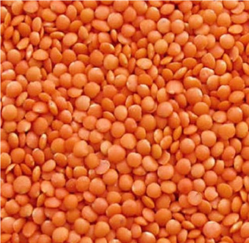 Common Cultivation Dried Pulse High In Protein Masoor Dal