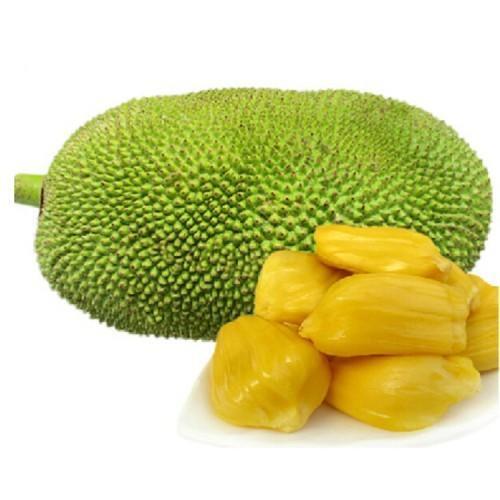 Oval Healthy Tasty Rich In Vitamin C Farm Fresh Jack Fruit