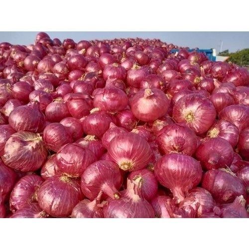 Pack Of 1 Kg 100% Pure Fresh And Natural Spherical Shape Pink Onions  Moisture (%): 86 %