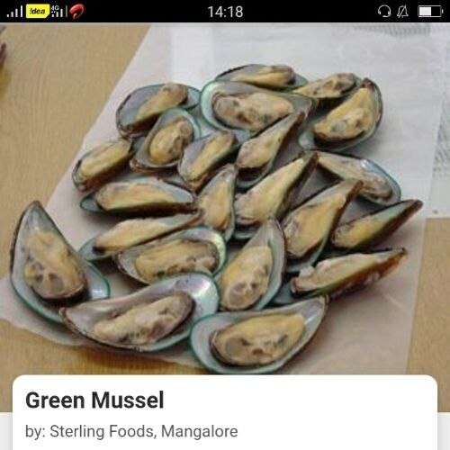 Green Mussel For Restaurant And Mess Use, Airtight Packaging