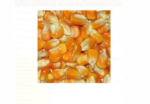 Pack Of 1 Kilogram 0.5 Inch Size Fresh And Natural Dried Yellow Corn 