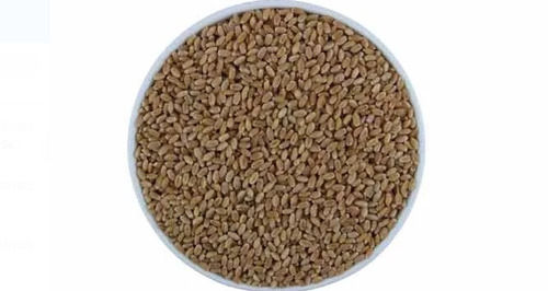 Pack Of 1 Kilogram Store In Dry Place Dried Brown Wheat Seed 