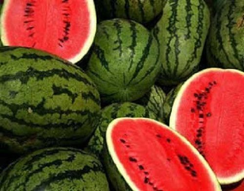 Common Cultivated Impurity Free Rich Taste Natural Healthy A Grade Watermelon