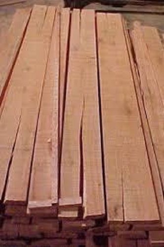 Termite Resistance Eucalyptus Sawn Timber