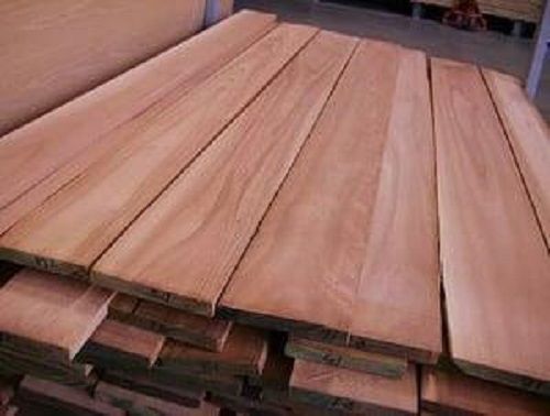 Eucalyptus Sawn Wood