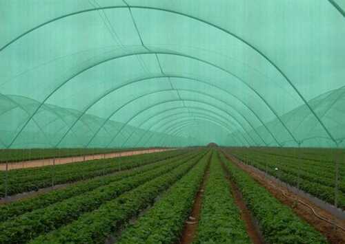  कृषि उपयोग के लिए एचडीपीई ग्रीन एग्रो शेड नेट, हरा रंग, 10 X 30 मीटर आकार 