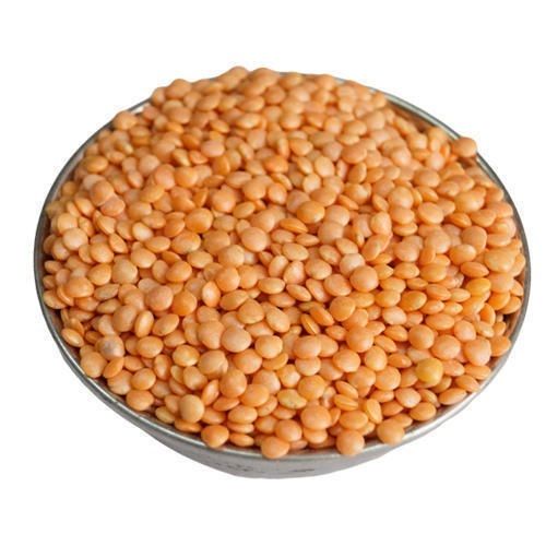  Highly Nutritious Pure And Fresh Healthy Rich Source Of Protein Masoor Dal