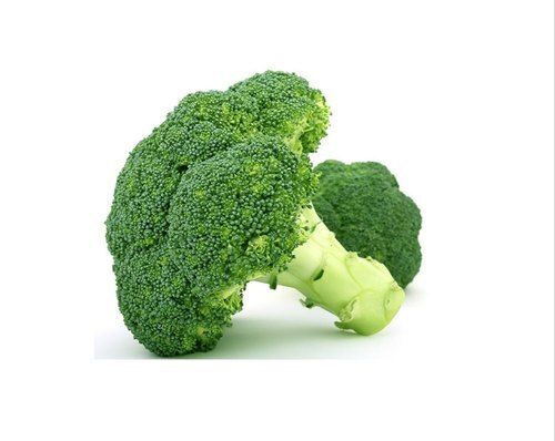 Indian Origin Naturally Grown Vitamins Rich Antioxidants And Healthy Farm Fresh Green Broccoli 