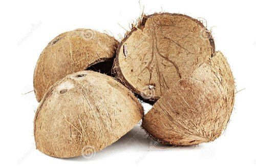 Solid Brown Coconut Shell Recyclable Environment Friendly Leak Proof Compact Coconut Shell.