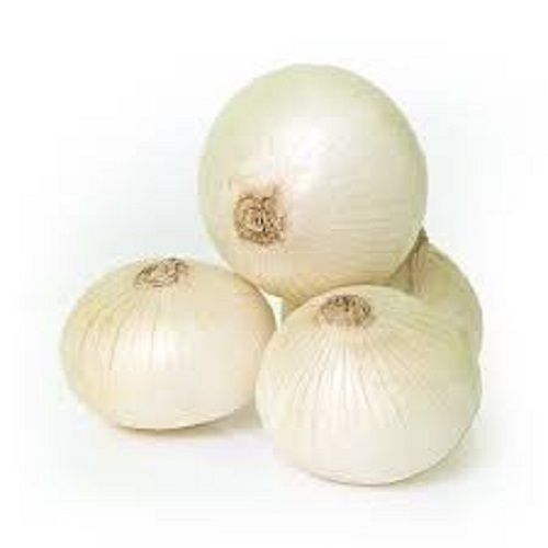 Pack Of 1 Kilogram A Grade Round Medium Size White Onion For Cooking 
