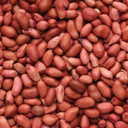 Brown Rich In Protein And Fibre Natural Groundnut Seeds