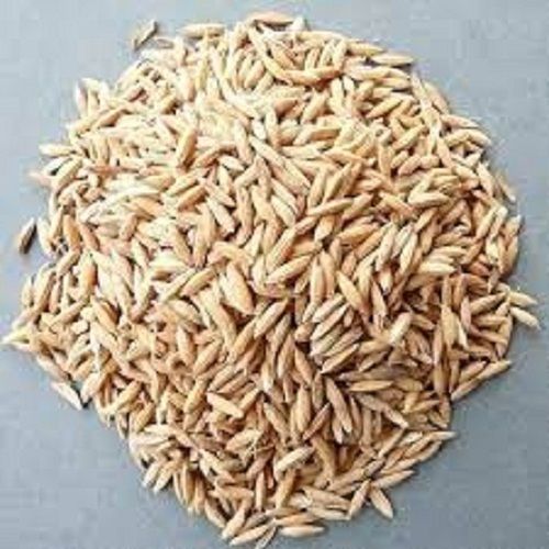 Farm Fresh Natural Healthy Carbs Enriched 100% Vitamins Medium Grain Golden Paddy Rice 