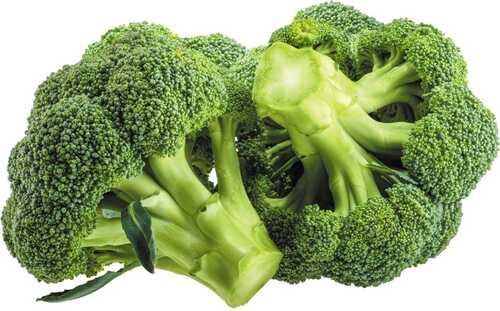 Pesticide Free Green Fresh And Natural Organic Green Broccoli