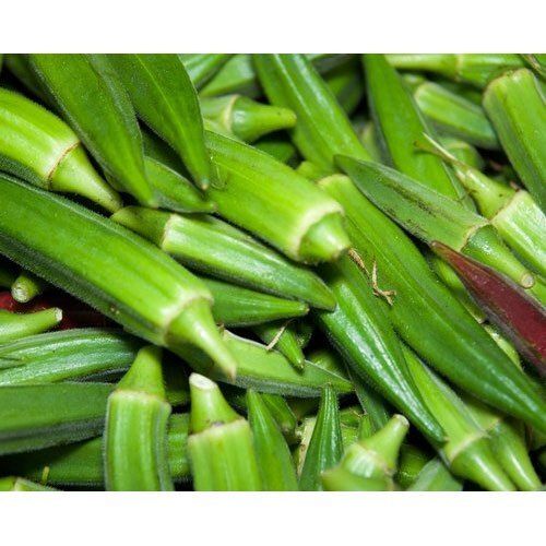 Long Healthy Farm Fresh Indian Origin Naturally Grown Vitamins Rich Green Ladys Finger