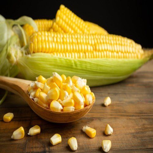 Common 100% Good Source Antioxidents Vitamin High In Protein Fiber And Natural Yellow Corn 