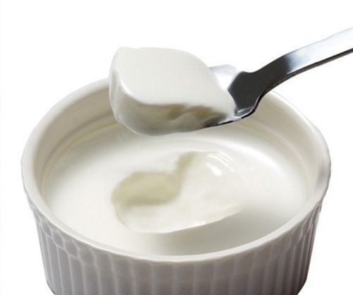 White 100% Puretasty Good Source Calcium And Probiotics Pure Natural Fresh White Curd
