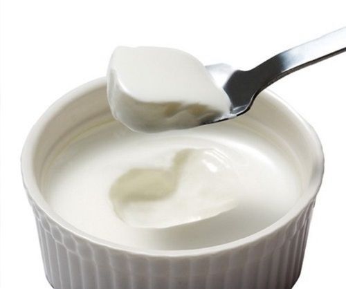 White 100% Puretasty Good Source Calcium And Probiotics Pure Natural Fresh White Curd Packaging: Bottle