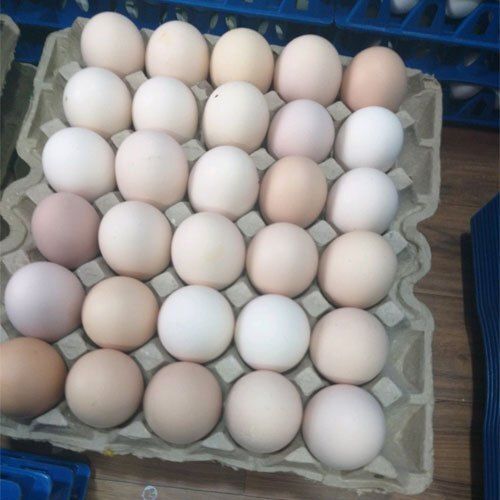 Good Source Of Vitamin Nutritious Fresh And Healthy White Poultry Egg