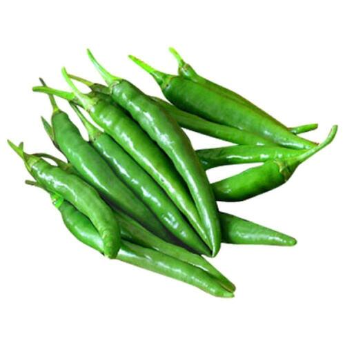Cooked Green Chillies With Hot Taste And Rich In Color