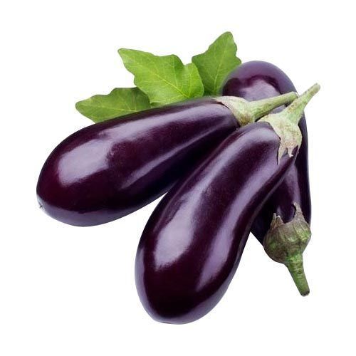 Healthy And Natural Rich In Nutrients Easy To Digest Purple Brinjal 