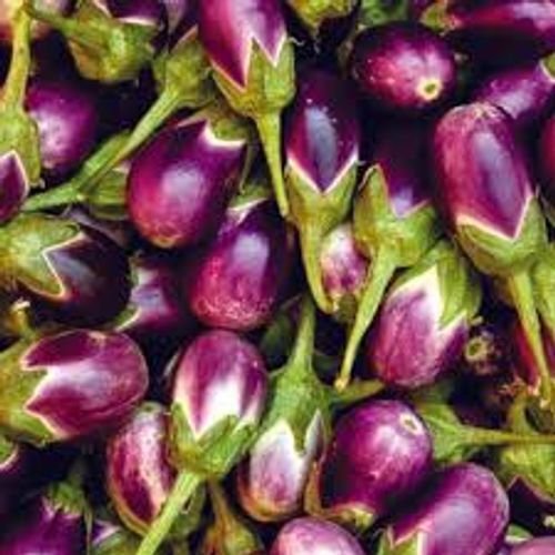 Hygienically Preserved Healthy And Nutritional A Grade Fresh Purple Brinjal, 1 Kg 