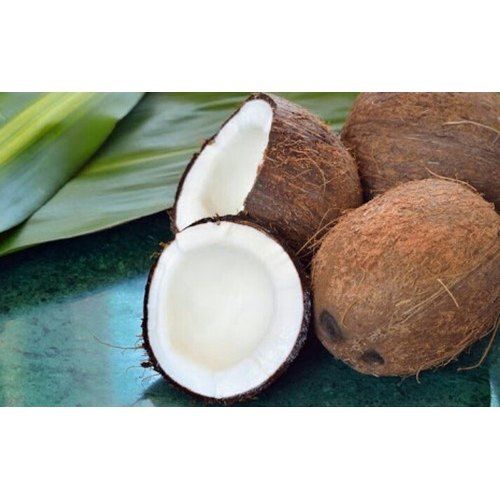 Healthy Farm Fresh Naturally Grown Vitamins Rich Fresh Coconut