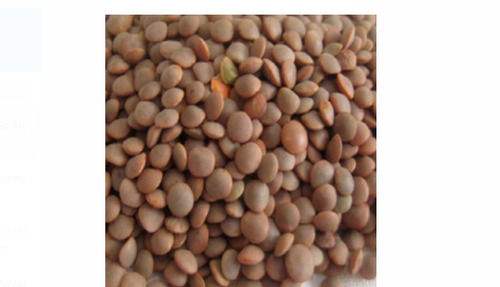 1 Kg Dried Common Cultivated High In Protein Whole Black Masoor Dal