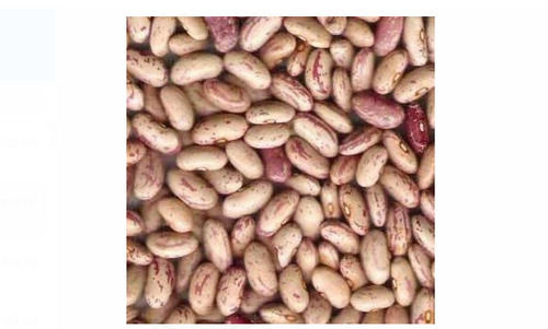 1 Kg Dried Curved Shaped Brown Fresh Kidney Beans For Cooking