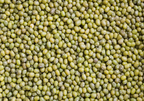 High In Protein And Healthy 100% Pure Naturally Grown Green Gram Crop Year: 6 Months