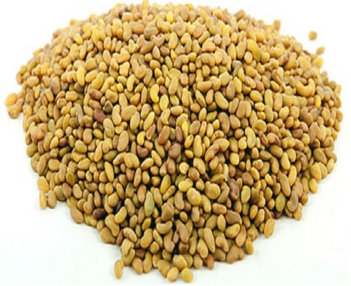 Energy Booster High In Protein Vitamin And Minerals Edible Alfala Seeds 