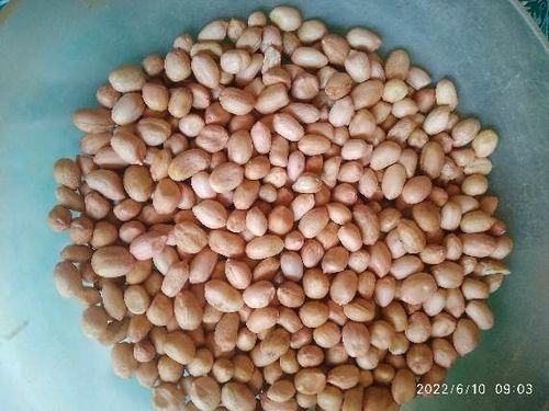 Good Source Of Protein Healthy And Delicious Crunchy Dried Peanuts Seeds Admixture (%): 5%