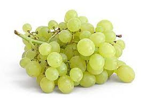 Hygienic And Natural Organically Grown Green Seedless Fresh Best Quality Grapes