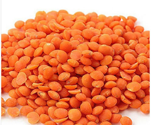 Pack Of 1 Kg Dried Splited Round Common Cultivated High In Protein Red Masoor Dal