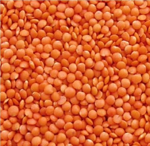 1 Kilograms Pack Size Food Grade Dried Round Red Masoor Dal 