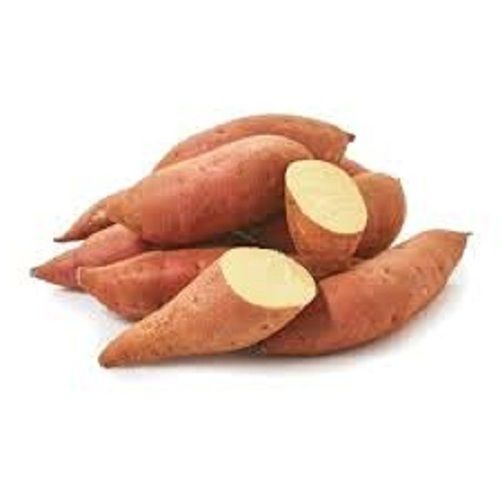 Fresh Sweet Potato at Best Price in Thiruvananthapuram