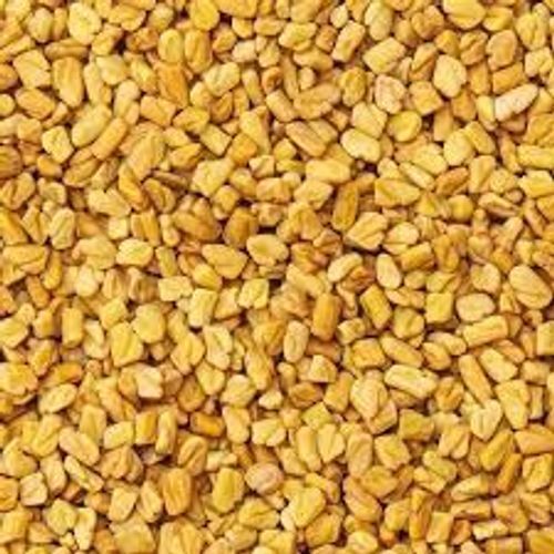 A-Grade Pure Organic Bitter Aromatic Fenugreek Seeds For Cooking 