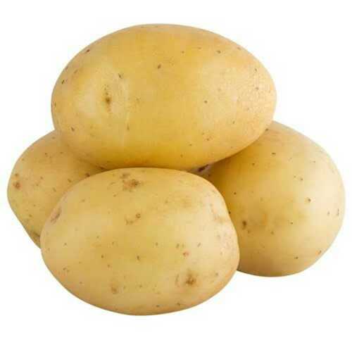 Fresh Potatoes In Round Oval Shape, High In Nutritional Content And Rich In Taste