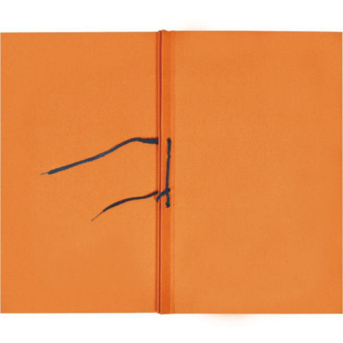 Plastic Orange Cardboard Fold Office Cover File